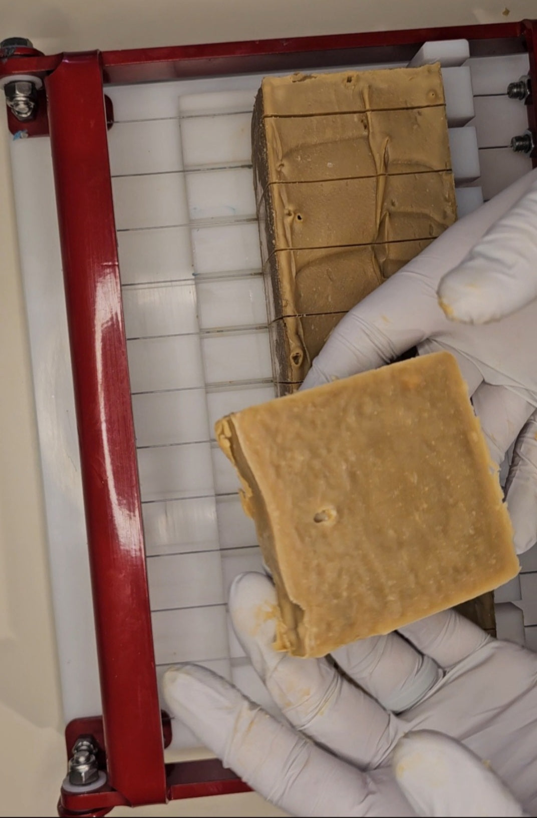 Pine Tar Cold-Process Soap